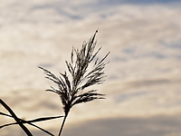 2021-11-22 14.39.01 DSC_1048edit