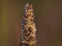2021-11-22 14.50.15 DSC_1127edit