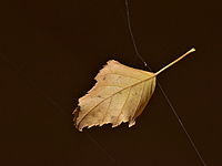 2021-11-23 12.33.32 DSC_1361edit