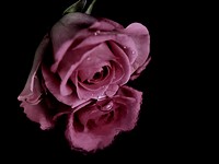 2022-02-17 16.26.06 DSC_0155edit
