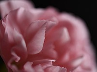 2022-02-21 14.56.46 DSC_0378edit
