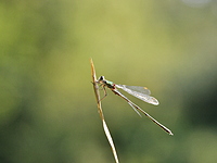 2021-09-07 14.30.00 DSC_1560edit