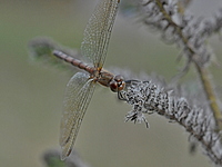 2021-11-12 13.52.23 DSC_1161edit