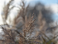 2021-11-22 14.40.41 DSC_1069edit