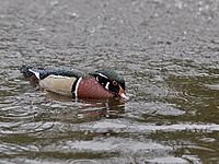 2021-10-03 16.30.16 DSC_0156edit