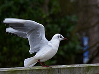 2022-01-29 14.36.31 DSC_2602edit
