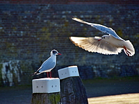 2022-02-27 15.33.15 DSC_0142edit