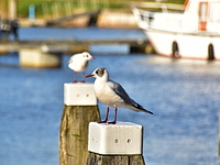 2022-02-27 15.42.37 DSC_0176edit