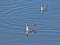 2022-02-27 15.47.43 DSC_0200edit